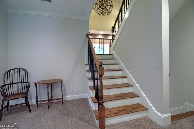 stairs featuring carpet and crown molding