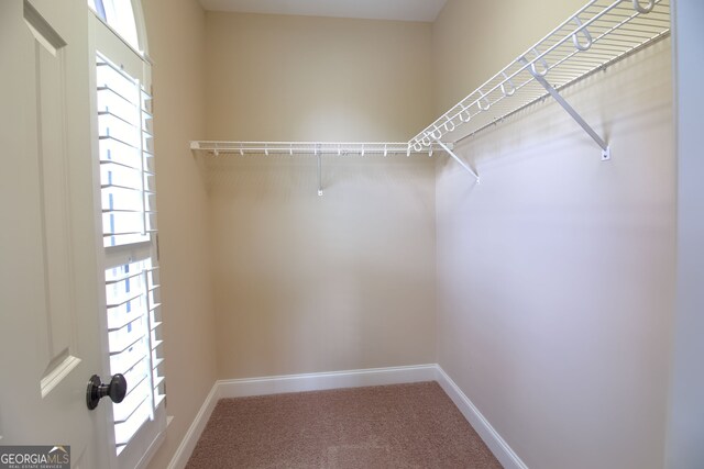 spacious closet with carpet floors