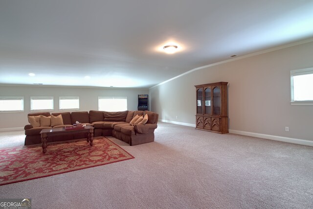 carpeted living room with crown molding