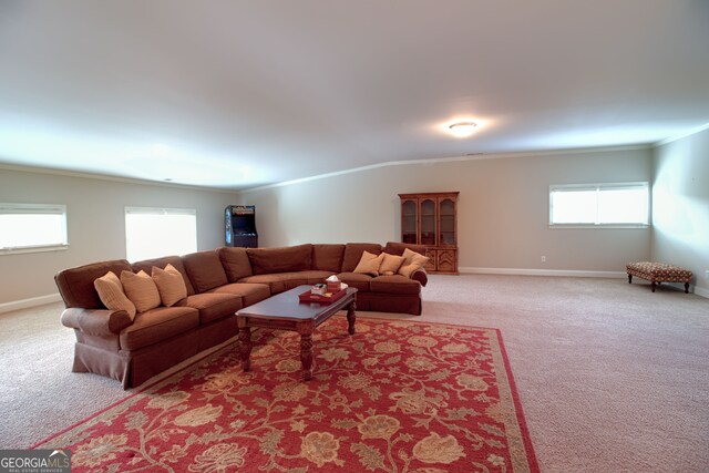 carpeted living room with plenty of natural light and crown molding