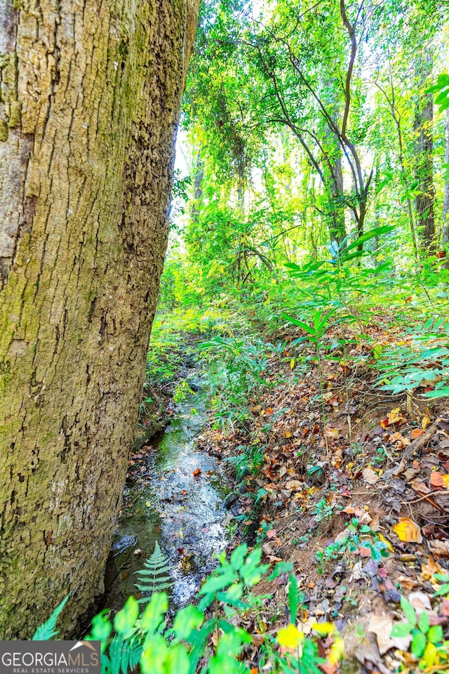 view of nature