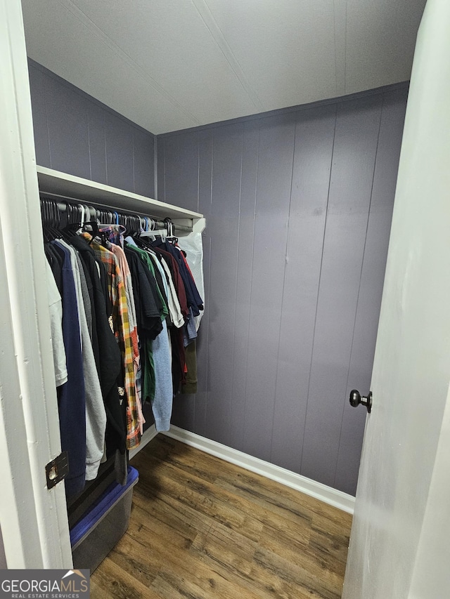 spacious closet with dark hardwood / wood-style flooring