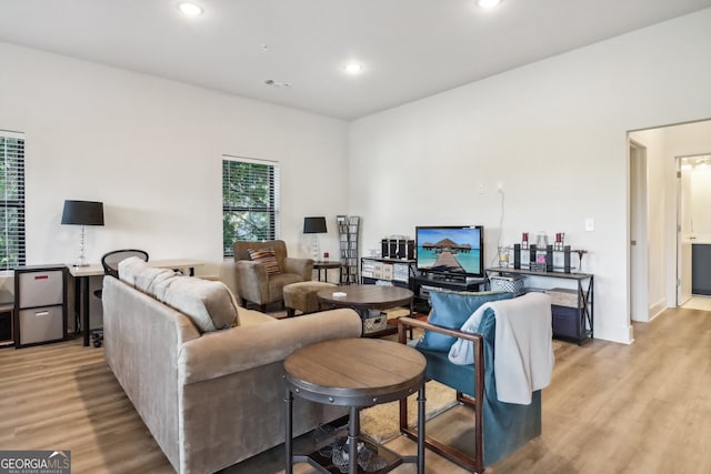 living room featuring light hardwood / wood-style floors