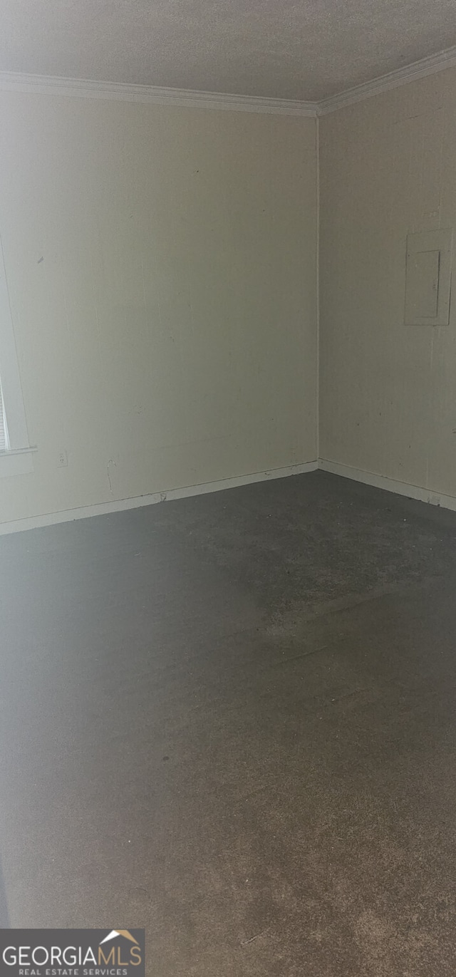 carpeted spare room featuring electric panel, a textured ceiling, and ornamental molding