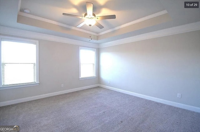 spare room with carpet flooring, ceiling fan, and a tray ceiling