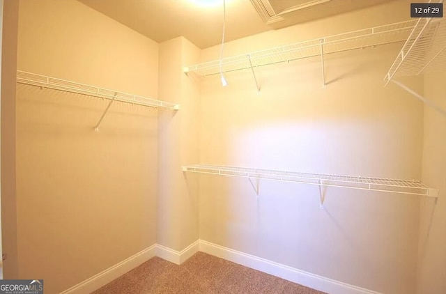 walk in closet featuring carpet floors