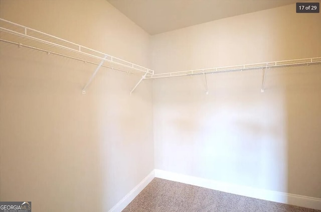 walk in closet with carpet