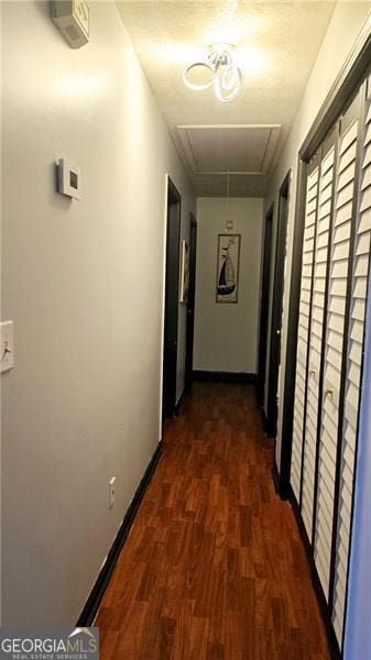 hallway featuring dark hardwood / wood-style flooring