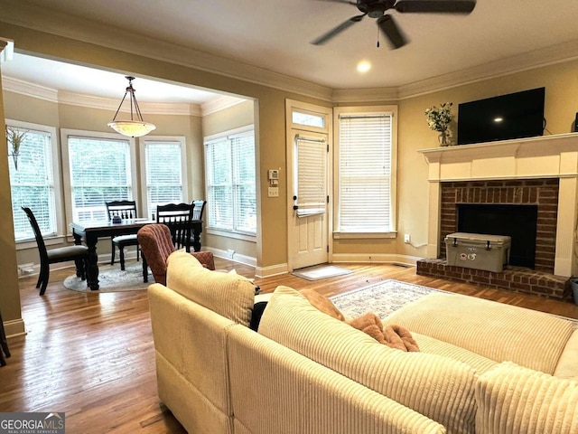 living room featuring a wealth of natural light, hardwood / wood-style floors, ceiling fan, and crown molding