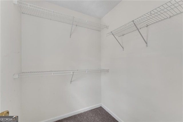 walk in closet with carpet flooring