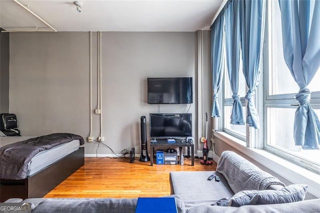 living room featuring wood-type flooring