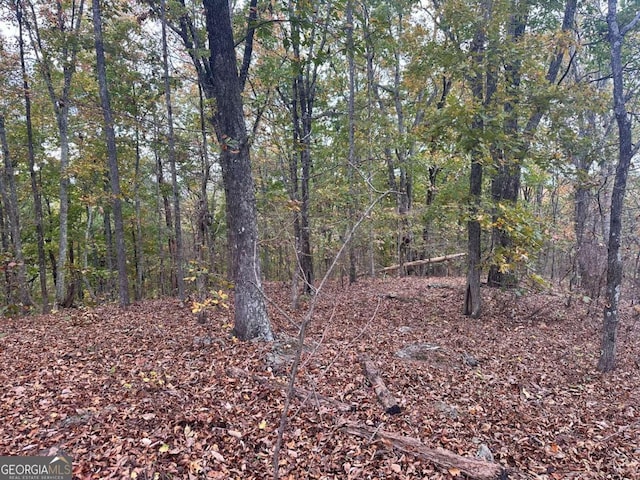 0 Outback Rd, Lot Jasper, GA 30143