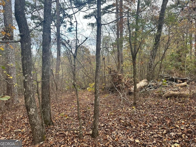 0 Outback Rd, Lot Jasper, GA 30143