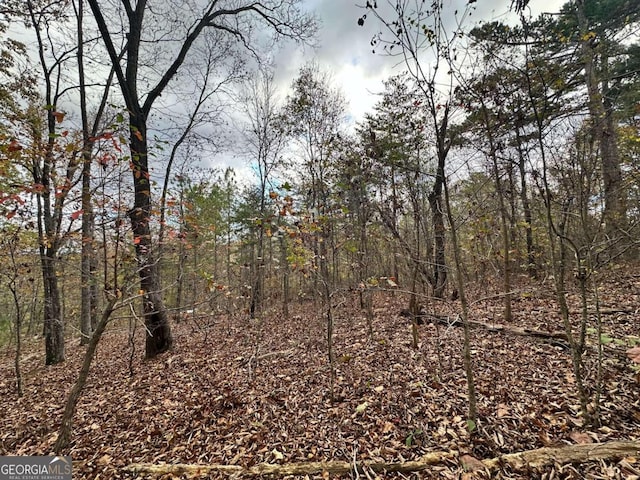 0 Outback Rd, Lot Jasper, GA 30143