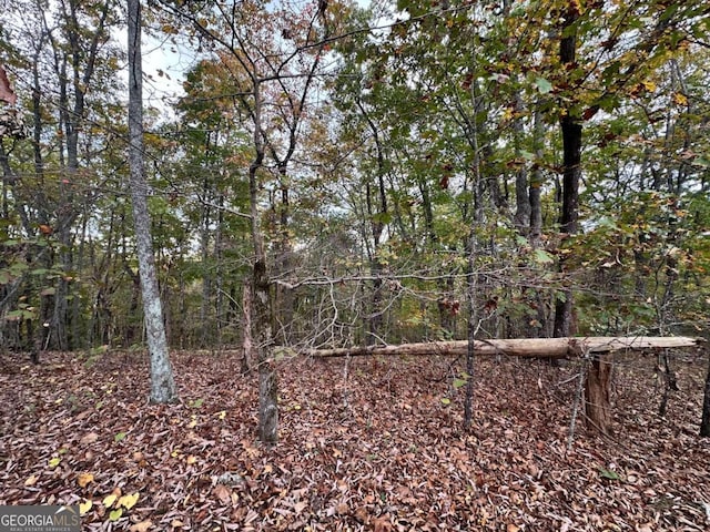 0 Outback Rd, Lot Jasper, GA 30143