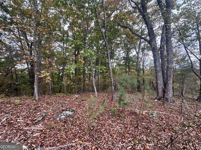 0 Outback Rd, Lot Jasper, GA 30143