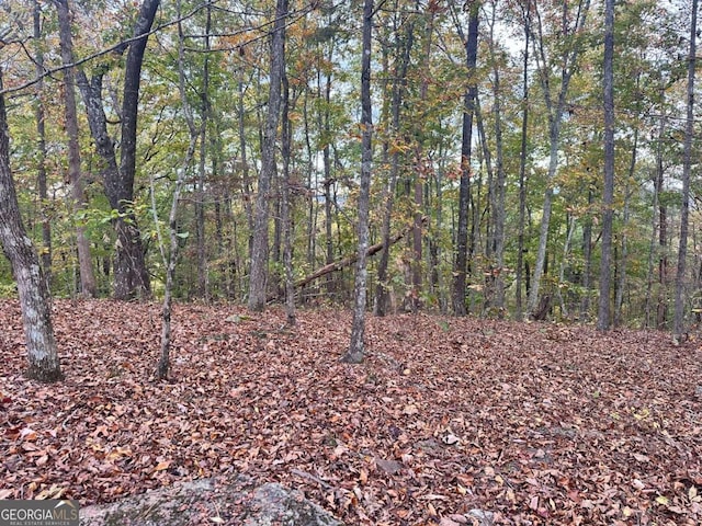 0 Outback Rd, Lot Jasper, GA 30143