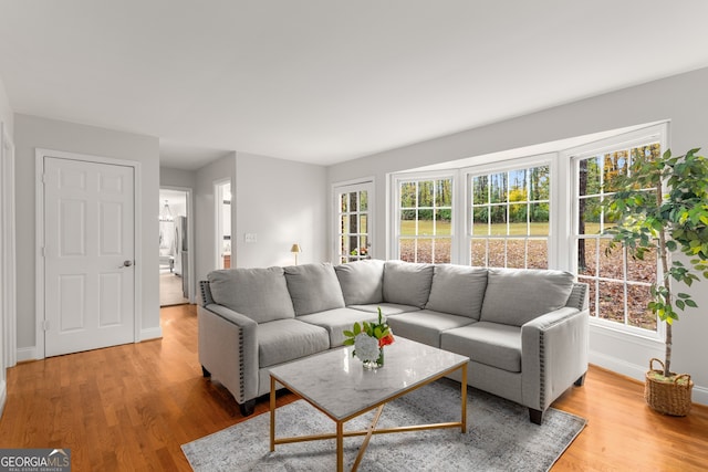 living room with plenty of natural light and light hardwood / wood-style flooring