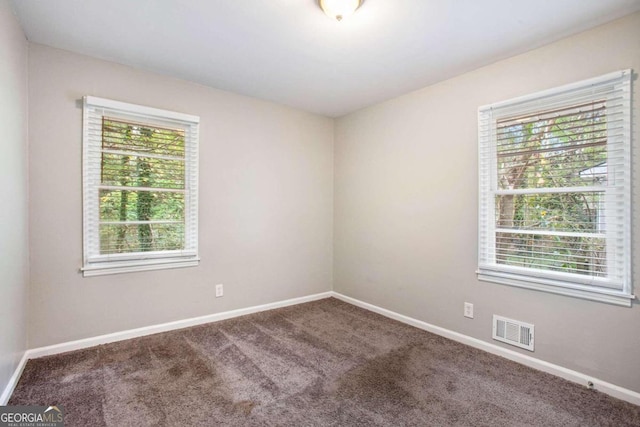 carpeted spare room with a wealth of natural light