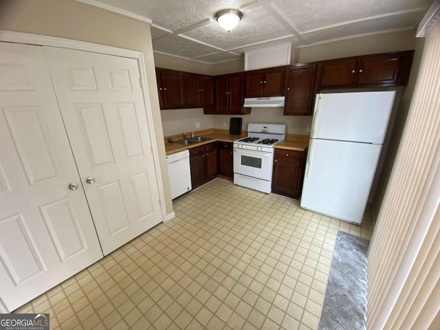 kitchen with white appliances and sink