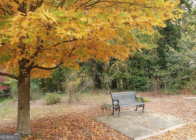 view of property's community featuring a patio