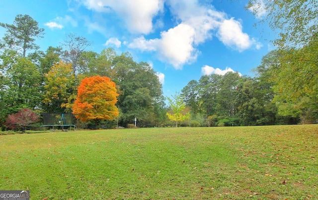 view of yard with a trampoline