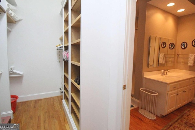 spacious closet featuring sink and hardwood / wood-style flooring