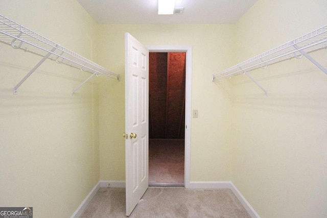 walk in closet featuring carpet flooring