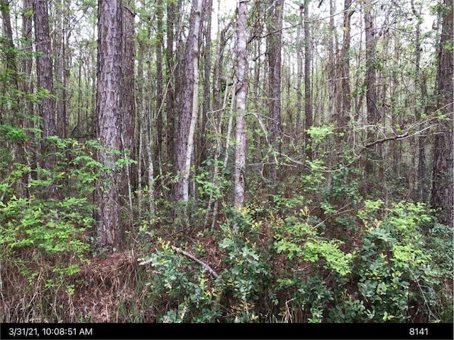 Listing photo 2 for LOT35 Lewis Ln, Townsend GA 31331