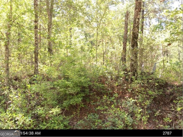 00 Pat Dixon Rd, Hazlehurst GA, 31539 land for sale