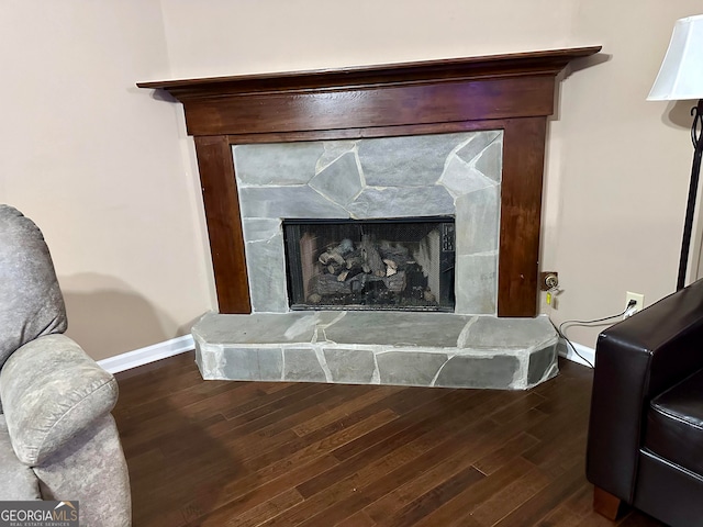 interior details with wood-type flooring and a fireplace