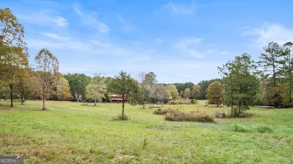 view of yard with a rural view