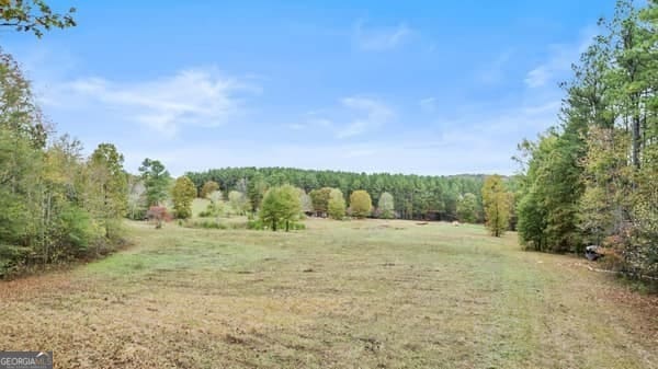 287 Branch Rd, Cedartown, GA 30125 - view of green lawn featuring a wooded view