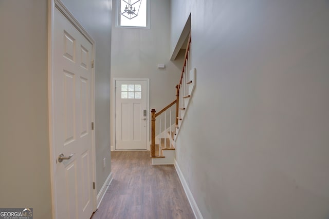 entryway featuring a towering ceiling, wood-type flooring, and a healthy amount of sunlight