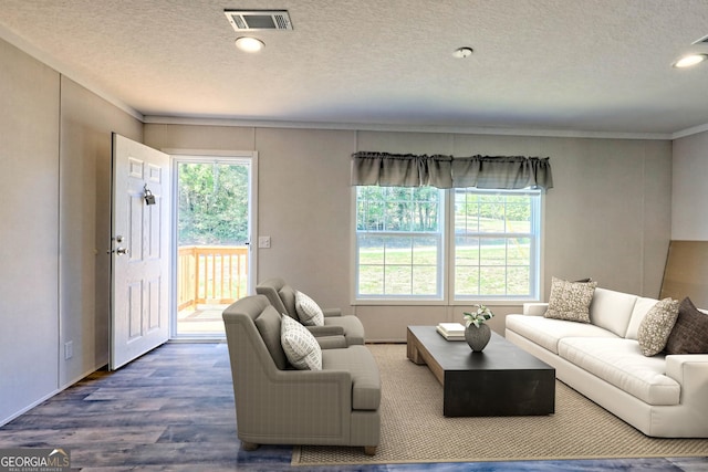 living room with hardwood / wood-style floors, a wealth of natural light, and a textured ceiling