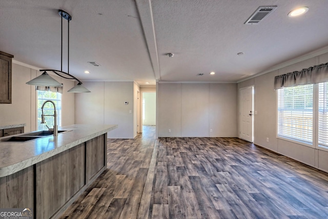 kitchen with ornamental molding, sink, dark hardwood / wood-style floors, and decorative light fixtures