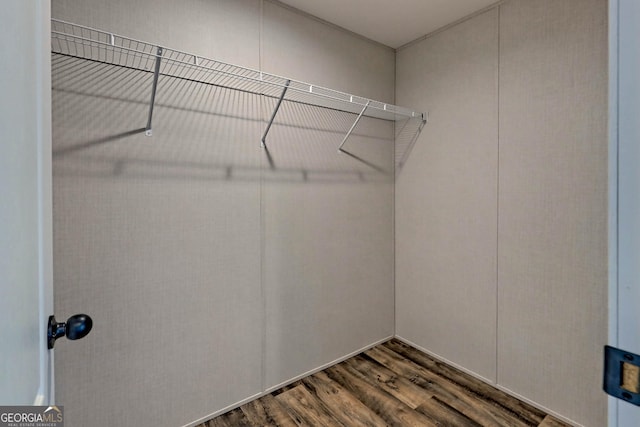 walk in closet featuring dark wood-type flooring