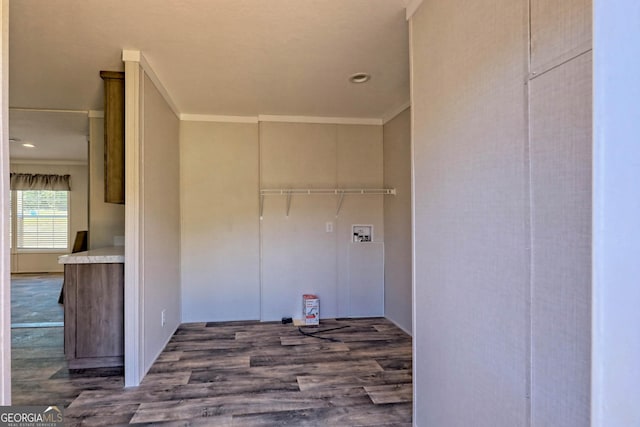 clothes washing area featuring dark wood-type flooring, washer hookup, and crown molding