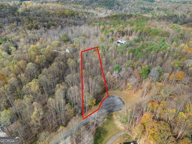 LOT14 Highpoint Ridge Ct, Ellijay GA, 30536 land for sale