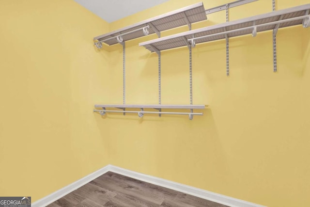 walk in closet with hardwood / wood-style floors