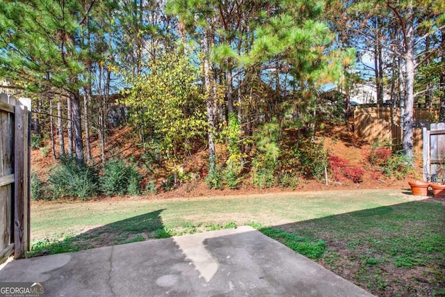 view of yard featuring a patio area