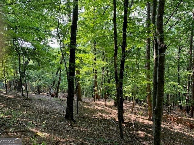 6057 Crested Iris, Big Canoe GA, 30143 land for sale