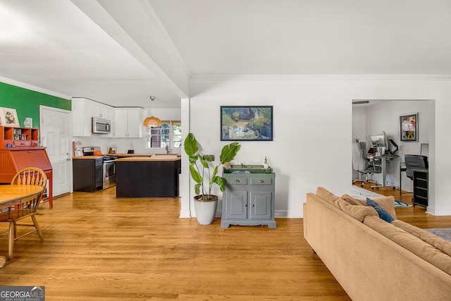 living room featuring light hardwood / wood-style flooring and ornamental molding