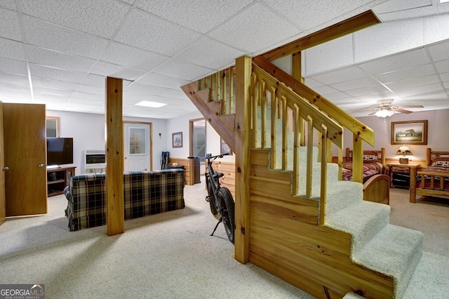 stairs with ceiling fan, a paneled ceiling, and carpet floors