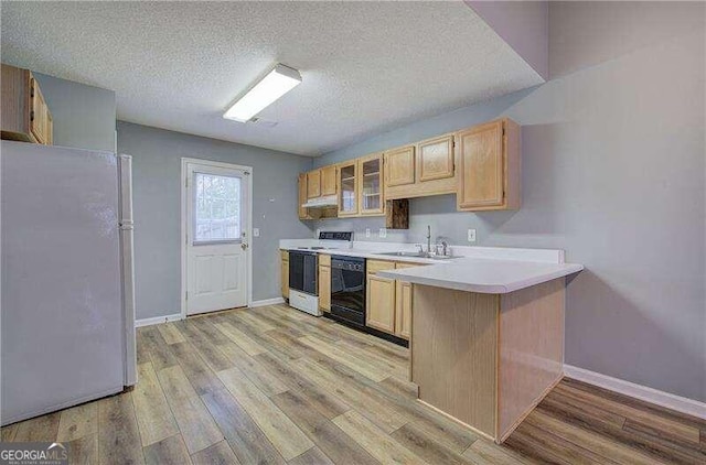 kitchen with a textured ceiling, sink, light brown cabinets, light wood-type flooring, and white appliances