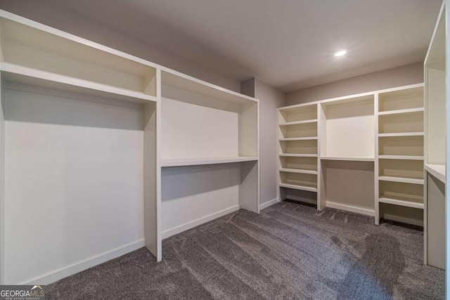 walk in closet with dark colored carpet