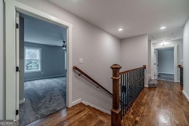 staircase featuring hardwood / wood-style flooring and ceiling fan