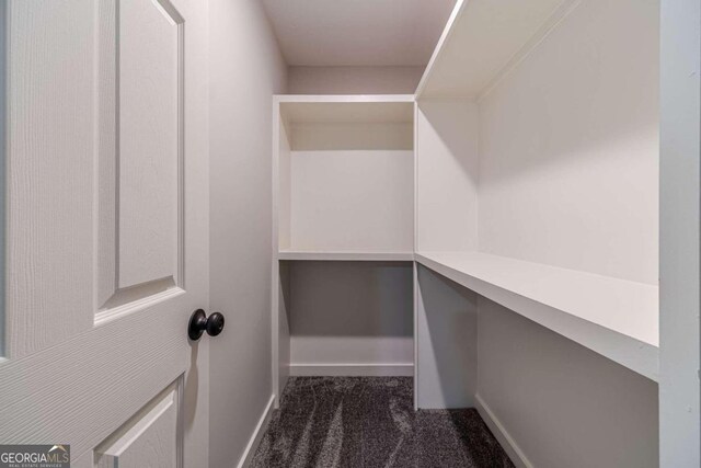 walk in closet featuring dark carpet