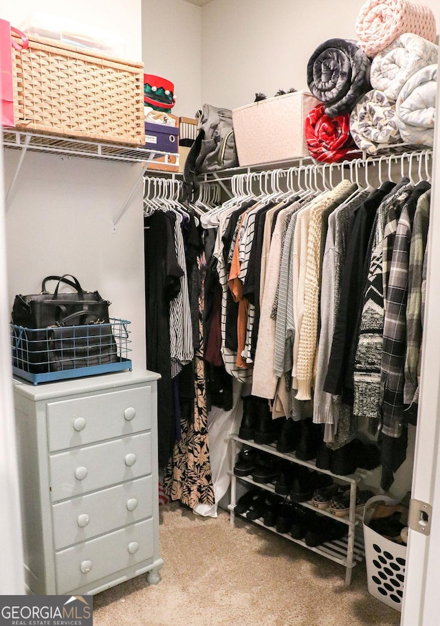 walk in closet with carpet floors