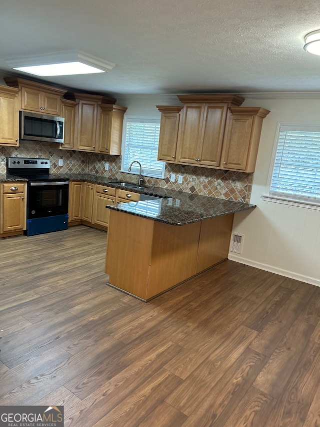 kitchen with dark hardwood / wood-style floors, sink, and appliances with stainless steel finishes